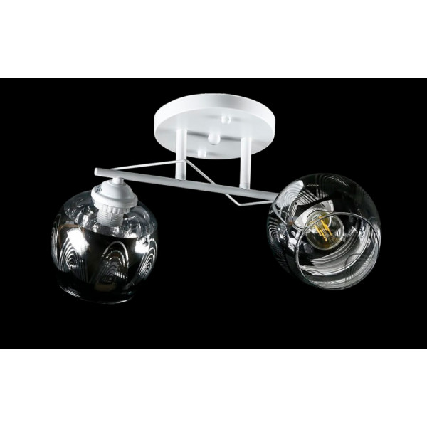 Люстра с плафонами  L8572/2A (CR+WT) Splendid-Ray
234505