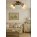 Люстра с плафонами Splendid-Ray 192428