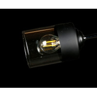 Потолочная люстра со стеклянным плафоном Splendid-Ray 30/0487/24