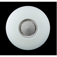 Светодиодная люстра Splendid-Ray 1999540/24W*2 LED+BLUETOOTH (WT)