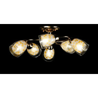 Люстра с плафонами Splendid-Ray 882189(FGD)