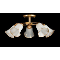 Люстры потолочные с пафоном Splendid-Ray 882409 (GB) 