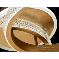 Люстра потолочная светодиодная Diasha 6010/2G 