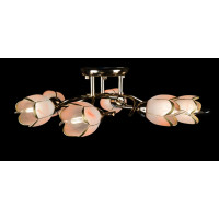 Люстра с плафонами Splendid-Ray 192029