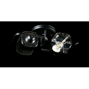 Люстра с плафонами  L8456/2 (BK+CR) Splendid-Ray
234463