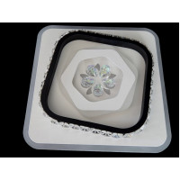 Потолочные светодиодные светильники 24х24 см Linisoln 2185/24