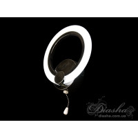 Светодиодное бра Diasha A8022/1BHR