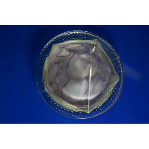 Точечный светильник OSD305 [FL] Splendid-Ray
999924