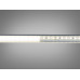 LED стрічка 24в, 120 шт/м, герметична, 8мм, нейтральний Diasha N24-2835-120-NW-65-8