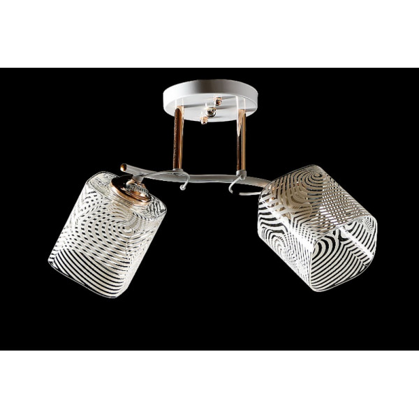 Люстра с плафонами  L6752A/2 (WHI+FGD) Splendid-Ray
260690