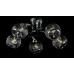 Люстра с плафонами  L06444/5 (BLACK+CHROME) Splendid-Ray
2599