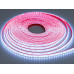 LED стрічка 24в, 120 шт/м, герметична, 8мм, холодний Diasha N24-2835-120-CW-68-8