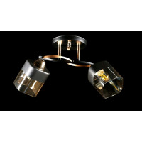 Люстра с плафонами  L7570/2 (FG+BK) Splendid-Ray
234465