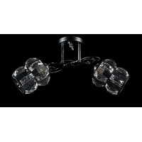 Люстра с плафонами  L9884D/2 (BLK+CR) Splendid-Ray
0260854