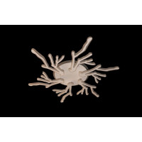 Люстра светодиодная Linisoln 1837/6 WH LED