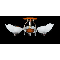 Люстра с плафонами Splendid-Ray 880841(FGD+RED+WOOD)