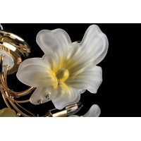 Люстра с плафонами  L9002/6+1 Splendid-Ray
998292