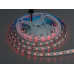 LED стрічка 12В, 60 діодів на метр, 10мм, RGB Diasha P12-5050-60-RGB-20-10