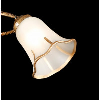 Люстры потолочные с пафоном Splendid-Ray 882408