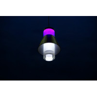 Подвесная люстра  L78052/1 (BL+WT) Splendid-Ray
212104