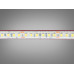 LED стрічка 24В, 180 шт/м, герметична, 8мм, нейтральний Diasha P24-2835-180-NW-68-8/10