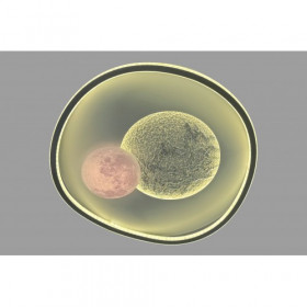 linisiln 7941-500 DIMMER