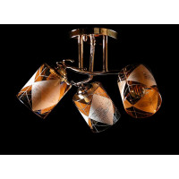 Люстра с плафонами Splendid-Ray 260717