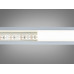LED стрічка 24в, 240 діодів на метр, 15мм, нейтральний Diasha N24-2835-240-NW-20-15