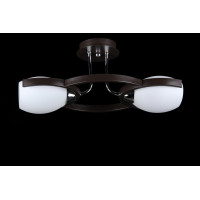 Люстра в спальню потолочная с плафонами Splendid-Ray 212675