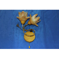 Бра с плафонами B04746/2 (FGD) Splendid-Ray
18811631