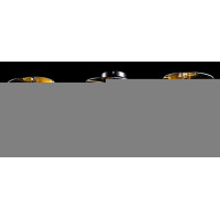 Люстра с плафонами  L89346/8 (COPPER+BK+DE) Splendid-Ray
230078