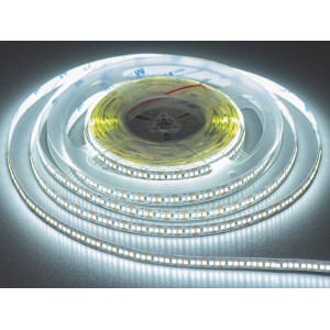 LED стрічка 12В, 240 діодів на метр, 10мм, холодний Diasha P12-2835-240-CW-20-10