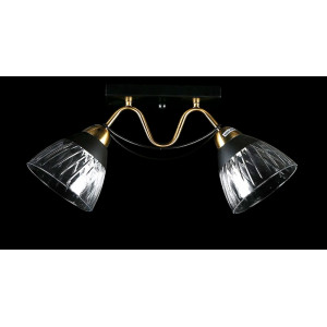 Люстра с плафонами  L8493/2 (BK+COPPER) Splendid-Ray
234512