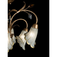 Люстра с плафонами Splendid-Ray 192369