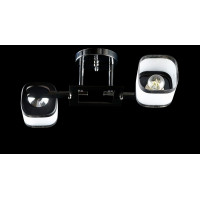 Люстра с плафонами  L91164/2 (CR) Splendid-Ray
260863