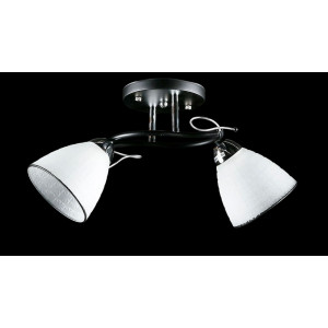 Люстра с плафонами  L8431/2 (BK+CR) Splendid-Ray
234451