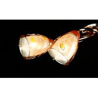 Люстра с плафонами Splendid-Ray L18811501(FGD+BRN)