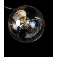 Люстра с плафонами  L7299/2 (FG+BK) Splendid-Ray
234308