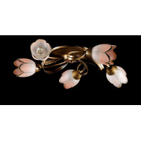 Люстра с плафонами  L88819/5 (GB) Splendid-Ray
882201