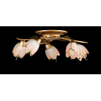 Люстры потолочные с пафоном Splendid-Ray 882196 (GB+PK) 