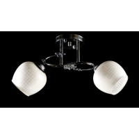 Люстра с плафонами L9646B/2 (CR) Splendid-Ray
260720 Люстра с плафонами L9646B/2 (CR) Splendid-Ray
260720