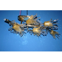 Люстра с плафонами  LMD22204/7 Splendid-Ray
995425