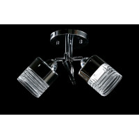 Люстра с плафонами  8511/2 (CR+BK) Splendid-Ray
234508