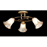 Люстры потолочные с пафоном Splendid-Ray 882408
