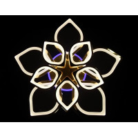 Cветодиодная люстра Linisoln 5540/5+5 FG