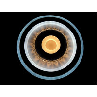 Светильник потолочный светодиодный LED Linisoln 2062