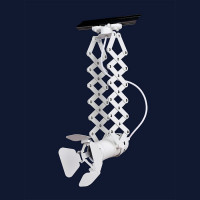 Декоративный потолочный светильник в стиле лофт Levistella 75223 WH (трек)