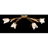 Люстры потолочные с пафоном Splendid-Ray 882459