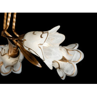 Люстра с плафонами Splendid-Ray 211298 (GB)