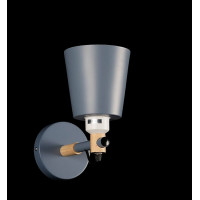 Бра с плафонами BH168/1 (GRAY) Splendid-Ray
2485